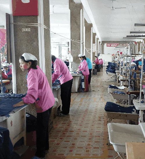 朝鲜工厂女工的自述 以奉献为美，以集体为家
